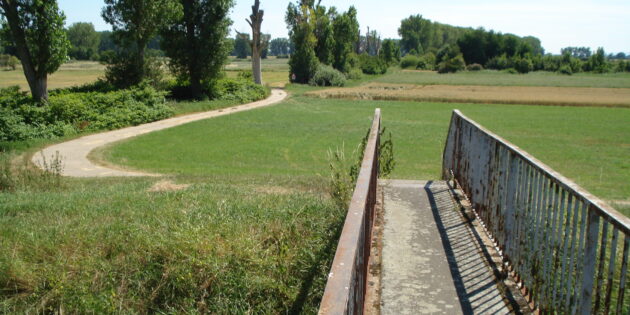 In geschichtsträchtiger Landschaft auf der Bibliser Gemarkung steht die dem Abriss geweihte Heldenbrücke. Foto: oh