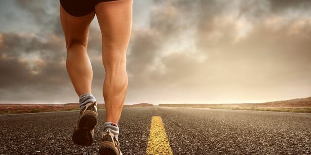 Gesund durch Training 