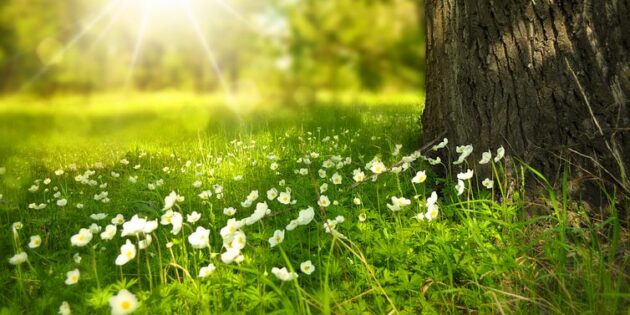 Ausflug der Naturfreunde Lampertheim