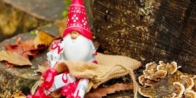 Waldweihnacht im Lampertheimer Stadtwald
