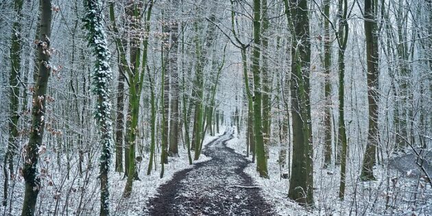 Wandervorschau des OWK Lampertheim 