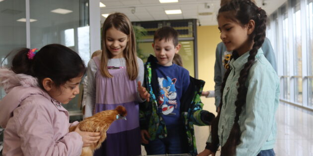 Auf Kuschelkurs mit Hühnern: Für die Schülerinnen und Schüler des Lindenhofschule Groß-Rohrheim gab es im Rahmen des YOLO-Day allerlei Wissenswertes rund um das Thema Gesundheit zu lernen. Foto: Benjamin Kloos