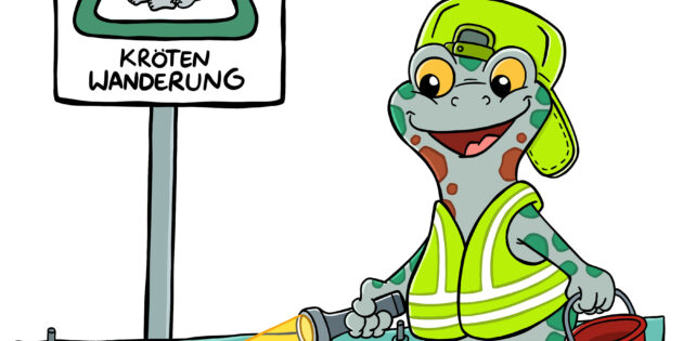 Das kecke Wechselkröten-Männchen „Mc Bufo“ ist das Maskottchen des Krötenwanderungsteam des NABU. Foto: oh