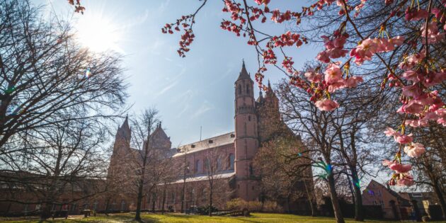 Der Heylshof-Park mit Blick auf den Dom. Foto: Marc Braner
