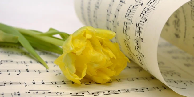 Offenes Singen mit dem FC-Quartett