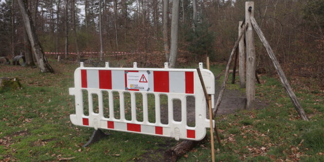 Rund 90 Buchen müssen rund um Heidetränke gefällt werden