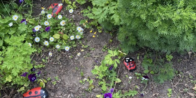 Zwischen den Pflanzen leuchten immer wieder bunt angemalte Marienkäfer. Foto: oh