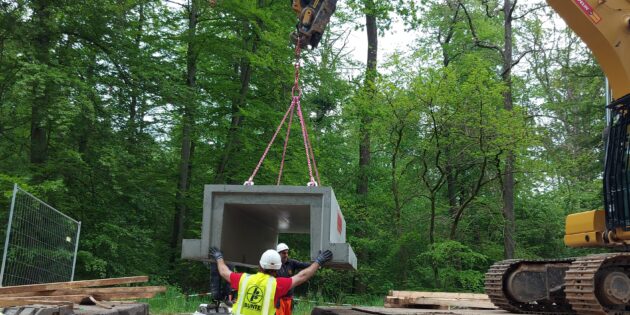 Im Rahmen des Neubaus des Radweges entlang der L 3111 werden auch Schutzmaßnahmen für Amphibien integriert. Foto: oh