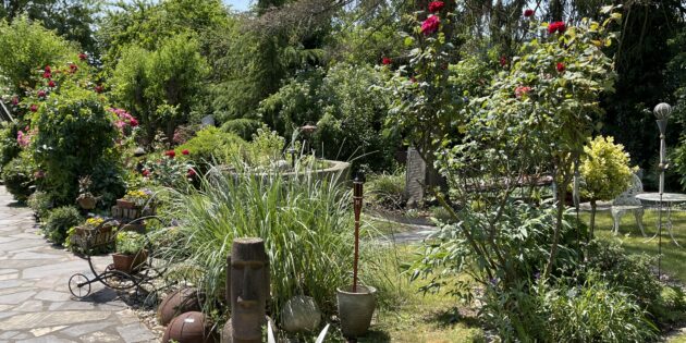 Bereits zum dritten Mal werden die Gartenbesitzer Anette Jansen und Andreas Brandl die Besuchenden bei dem hessenweiten Aktionstag empfangen. Foto: oh