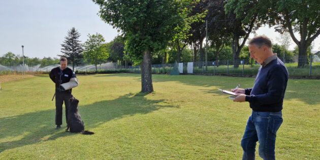 Zum Bestehen der Körung müssen die Hunde viele Parameter erfüllen. Foto: oh