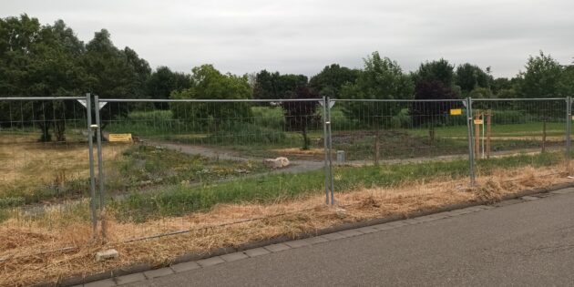 Im Biotop in Bürstadt waren zuletzt wieder Wildschweine heimisch geworden – ein erneuter Zuzug soll auch mithilfe von Zäunen verhindert werden. Foto: oh