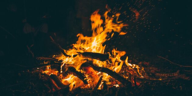 Foto: Pexels auf Pixabay