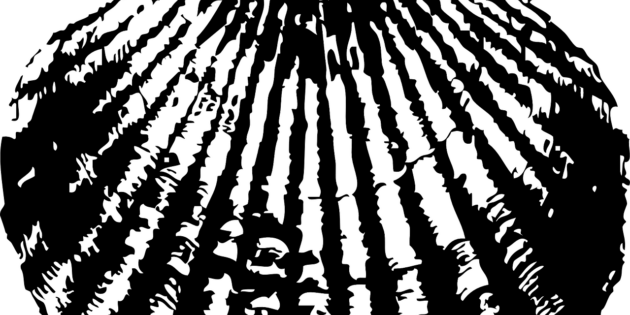 Foto: Clker-Free-Vector-Images auf Pixabay