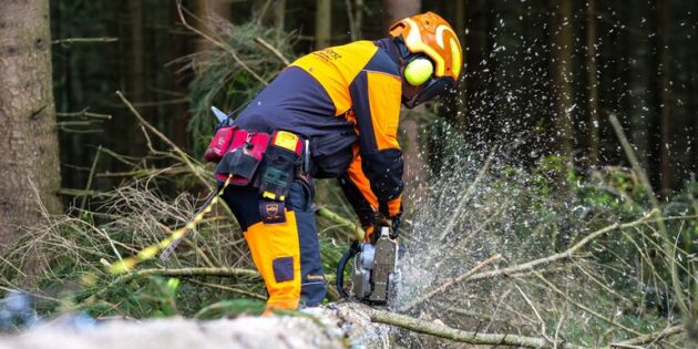 Eigenverantwortliches Handeln und präzise Schneidetechniken sind Schwerpunkte bei der Forstwirtausbildung. Foto: Siegfried Seifert