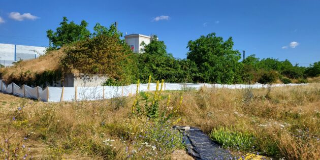 Der Goetheplatz in Biblis soll Standort für Unterkünfte für Geflüchtete werden – dies wird auch aus Umweltgründen immer wieder kritisch gesehen. Foto: oh