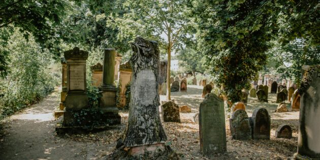 Der „Heilige Sand“ ist der älteste erhaltene jüdische Friedhof Europas. Foto: Kati Nowicki