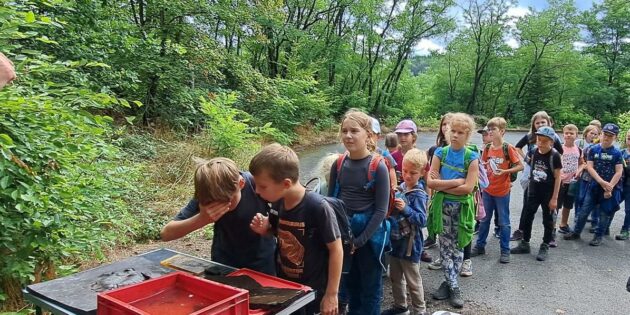 Die Kinder beim Betrachten von Fossilien während der Führung durch das Gelände der Grube Messel. Foto: oh