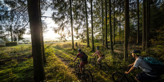 Die Wissensplattform NAT:KIT bietet Informationen für alle wegegebundenen Aktivitäten in Schutzgebieten und naturnahen Räumen. Foto: Susanne Brendle