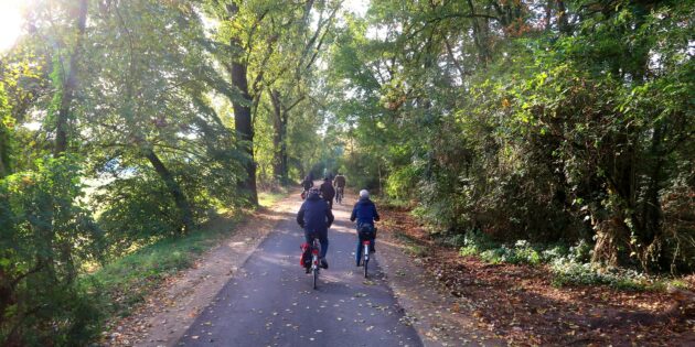 Der Radweg zwischen Lorsch und Hüttenfeld ist nach der Beendigung der Sanierungsmaßnahmen wieder frei befahrbar. Foto: Stadt Lorsch
