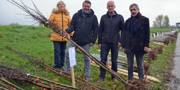 Von links: Ute Schollmaier (für die Obstbaumaktion zuständige Projektleiterin bei der Abteilung „Ländlicher Raum“ der Kreisverwaltung), Florian Schumacher (von der Initiative Streuobstwiesenretter), Thomas Renkert (Leiter der Abteilung „Ländlicher Raum“ in der Kreisverwaltung), und Ulrich Androsch (Geschäftsführer Gewässerverband Bergstraße) bei der Obstbaumabholung.  Foto: oh