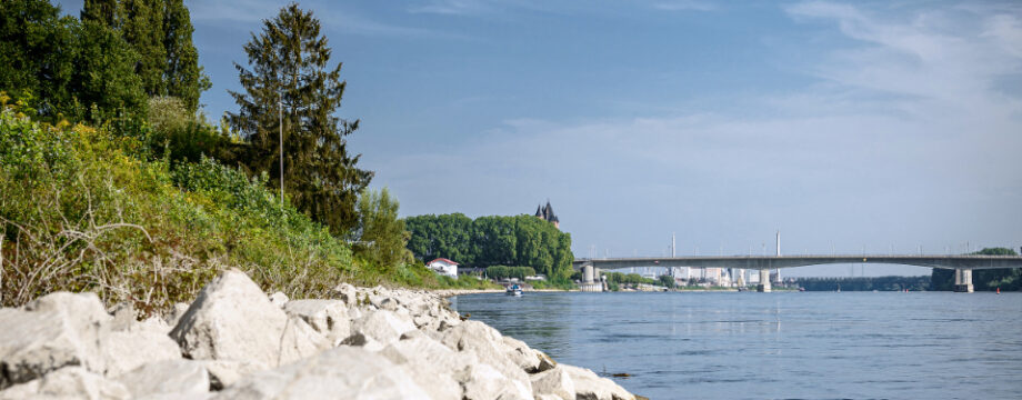Jetzt anmelden zum Rhine Clean Up am 14. September Foto: Malte Kahl/ebwo AöR
