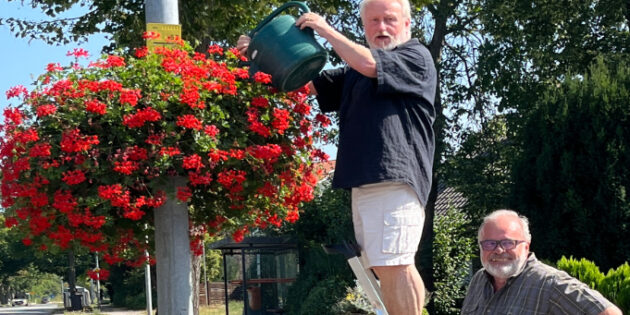 Durch die Initiative von Ulrich Volz und Dr. Hans-Josef Diehl erstrahlt die Wonnegaustraße in Neuem Blumenschmuck. Foto: Dr. Hans-Josef Diehl